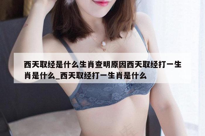 西天取经是什么生肖查明原因西天取经打一生肖是什么_西天取经打一生肖是什么